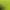 Double-ended manicure brush TUFI profi liner 7mm/15mm (0327452)